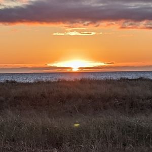 Meet your Posher, TH